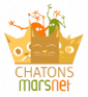 image logo_chatons_marsnet_tr_85.png (12.9kB)
Lien vers: https://chatons.org/fr/chaton/assodev-marsnet